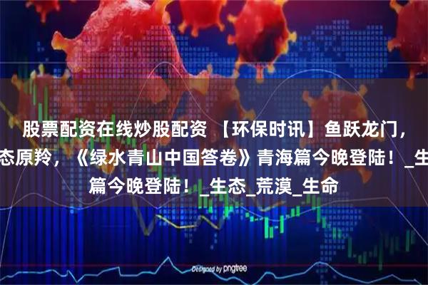 股票配资在线炒股配资 【环保时讯】鱼跃龙门，神秘鸟岛，萌态原羚，《绿水青山中国答卷》青海篇今晚登陆！_生态_荒漠_生命